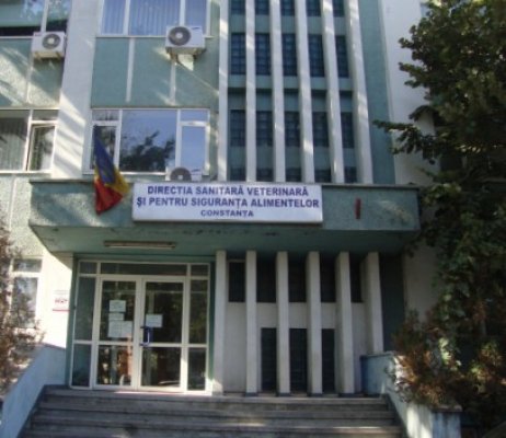 Se repetă concursul la DSV, după povestea candidatului prins copiind